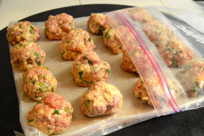 Freezing Meatballs